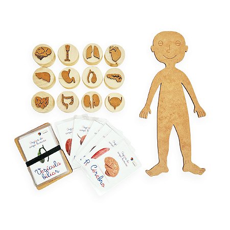 Carimbo Massinha Órgãos Humanos + Cards - base Toquinho de Madeira