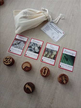 Carimbo para massinha Ciclo da Vida Formiga + 4 cards - Base Toquinho de Madeira