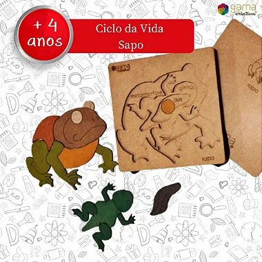 Kit Ciclo Da Vida Sapo + Cards
