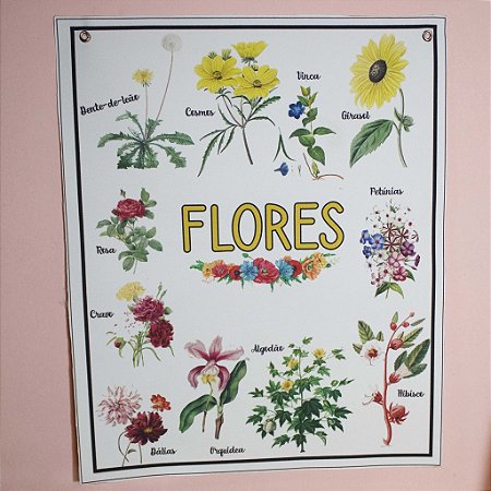 Banner - Flores