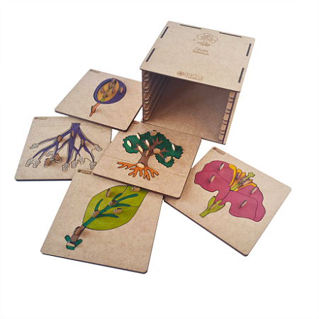 Kit Quebras-cabeças estudos Botânicos Montessori