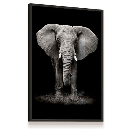Quadro Decorativo Elefante Preto e Branco