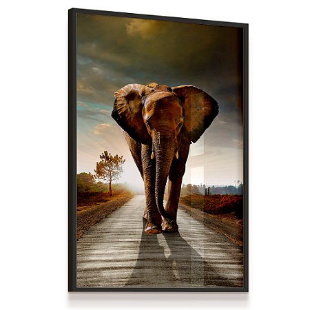 Quadro Decorativo Elefante Caminhando Estrada Savana