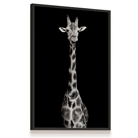 Quadro Decorativo Girafa Preto e Branco Pescoço