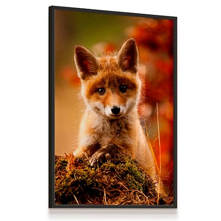 Quadro Decorativo Filhote Raposa Laranja Floresta Animal