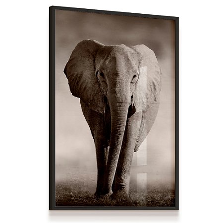Quadro Decorativo Elefante Selvagem Preto e Branco