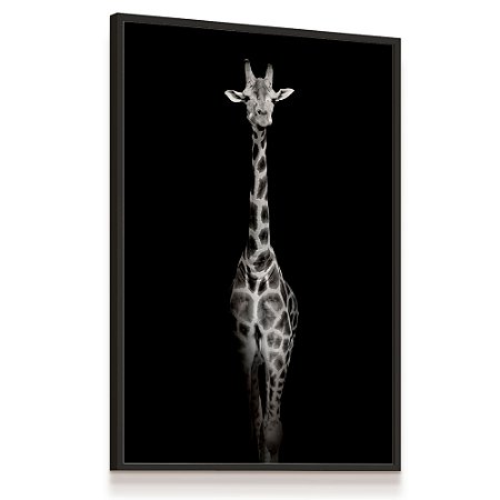 Quadro Decorativo Girafa Preto e Branco Corpo Savana