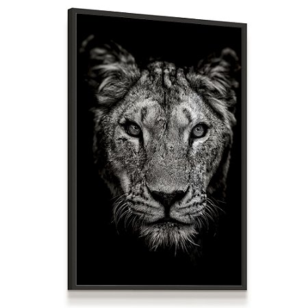 Quadro Decorativo Leoa Animal Rosto Preto e Branco