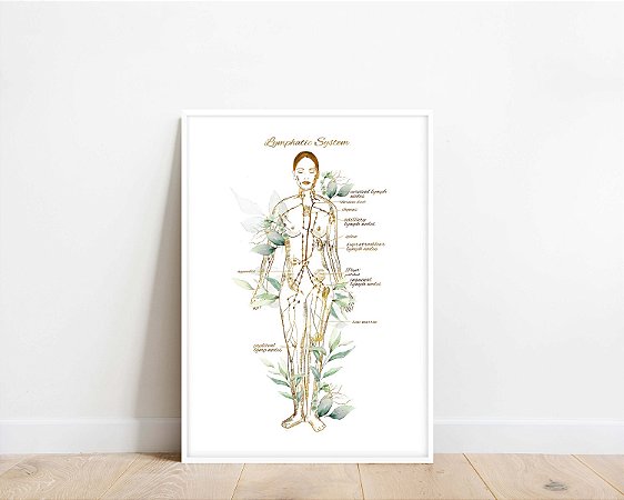Quadro Decorativo Sistema Linfático Corpo Humano Descrições Inglês Flores Spa