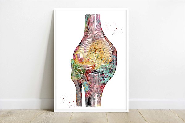 Quadro Decorativo Músculo Joelho Anatomia Médica Ortopédico Medicina