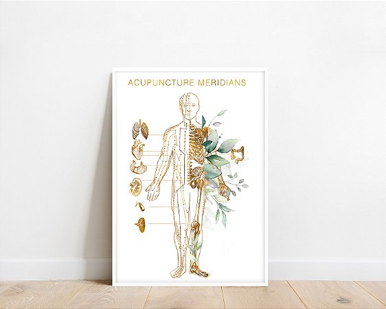 Quadro Decorativo Acupunturista Meridianos Acupuntura Medicina Chinesa
