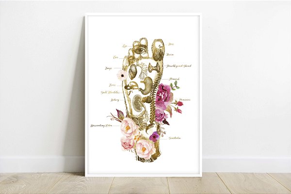 Quadro Decorativo Reflexologia Podal Massoterapia Massagem pé Medicina