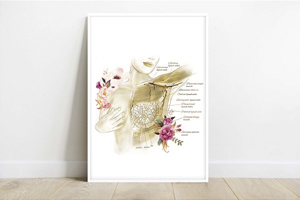 Quadro Decorativo Anatomia Clínica Cirurgia Plástica Mama Estética