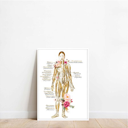 Quadro Decorativo Estética Corporal Spa Clínica Medicina Inglês Português