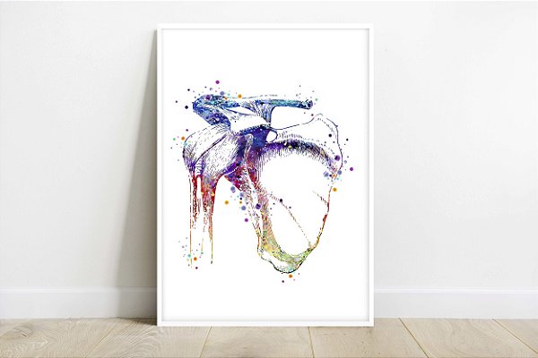 Quadro Decorativo Ombro Anatomia Médica Ortopedia Medicina Ossos