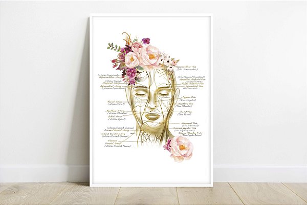 Quadro Decorativo Estética Facial Artérias Botox tradução Português Spa Clínica Esteticista