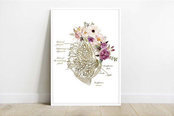 Quadro Decorativo Anatomia Clínica Cirurgia Plástica Mama Estética Obstetra Medicina