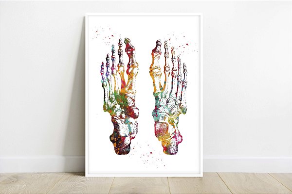 Quadro  Decorativo Anatomia Pé Ossos Medicina Fisioterapia Clínica