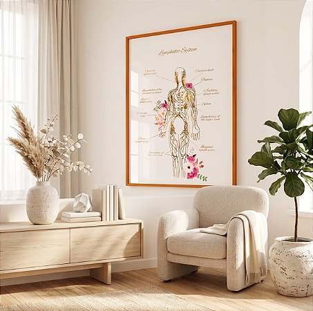 Quadro Decorativo Sistema Linfático Humano Medicina Anatomia Humana