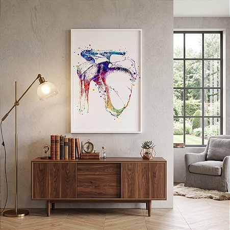 Quadro Decorativo Ombro Anatomia Ortopedia Medicina Ossos Escápula Clavícula