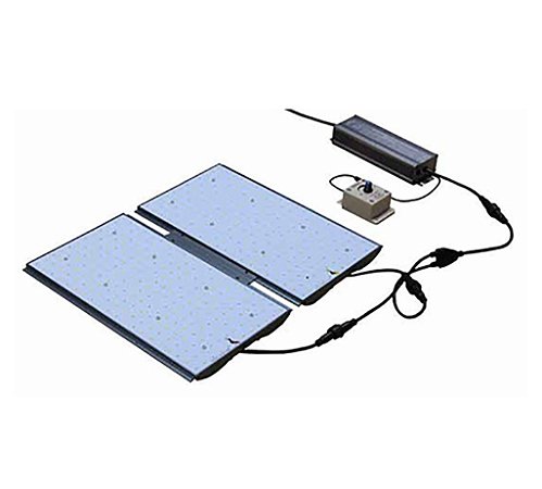 Painel de LED Quantum Board 160w - Bioledz
