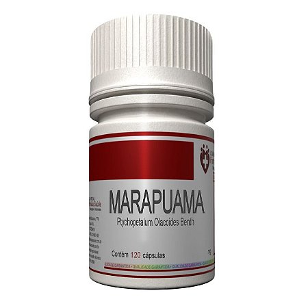 Marapuama 250mg 60 cápsulas - Ptychopetalum Olacoides Benth