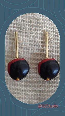 Brinco semente ormosia