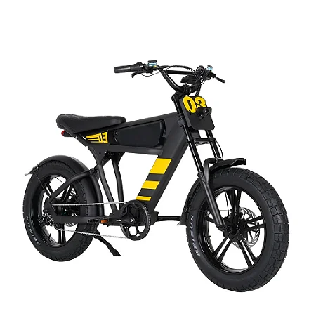 Bicicleta Elétrica FT-03 1000w