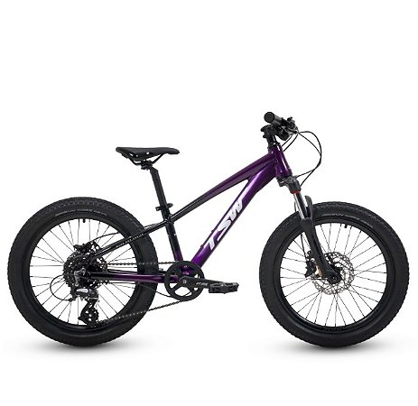 BICI TSW HUNCH ALTUS 8V 20"X13.5" VL/PT NAC.