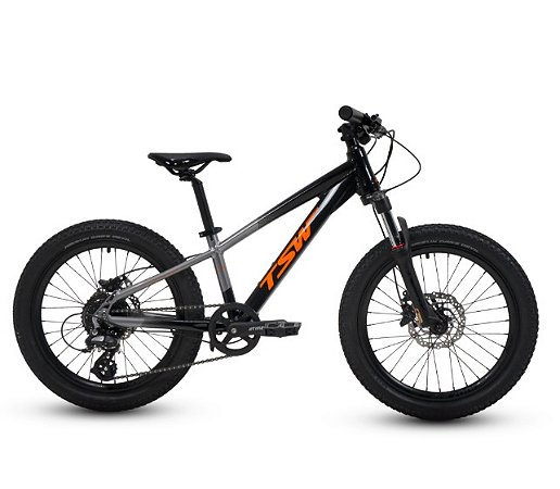 BICI TSW HUNCH ALTUS 8V 20"X13.5" PT/CZ NAC.