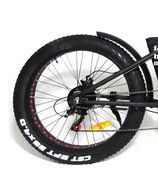 Roda traseira aro 26 e motor Fat Bike Elétrica Eco Zone