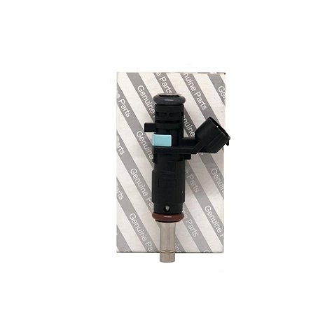 Bico Injetor Renault Kwid/logan/sandero 1.0 17/ - 166003188r