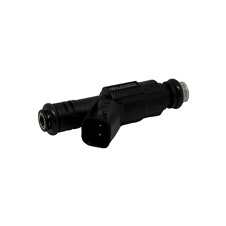 Bico Injetor Ecosport / Focus - 0280157160
