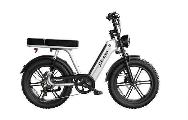 BICICLETA ELETRICA DUOS E-KOA 1000W