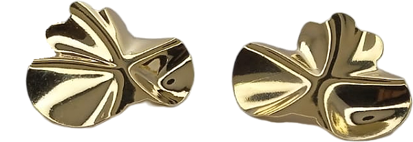 Brinco Folha Banhado a Ouro