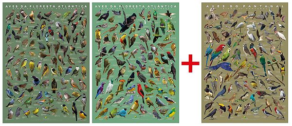 COMBO - 3 Posters: Floresta Atlântica (Volume 1 e 2) + Pantanal