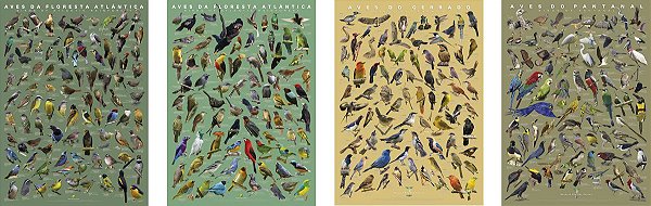 COMBO - 4 Posters: Floresta Atlântica (Volume 1 e 2) + Cerrado + Pantanal