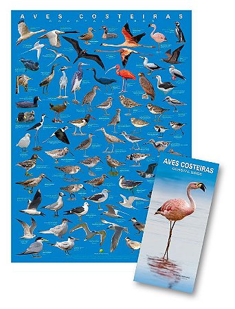 COMBO: Poster + Guia de Aves Costeiras