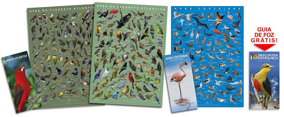 COMBO: 2 Posters Floresta Atlântica 1 e 2 + Poster Aves Costeiras + 2 Guias de Aves + GUIA DE FOZ GRÁTIS