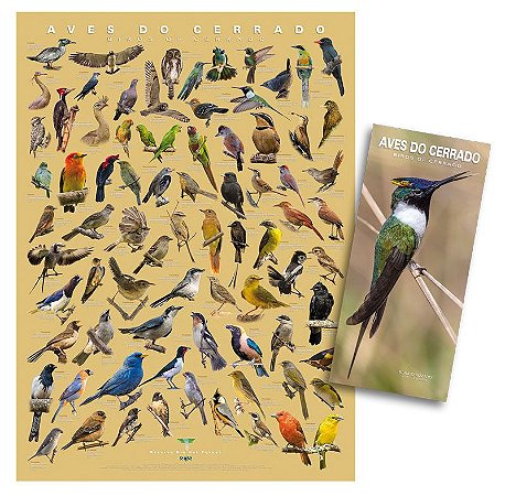 COMBO: Poster + Guia das Aves do Cerrado