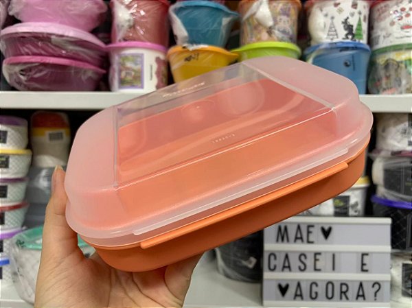 Visual Box 550ml Salmão