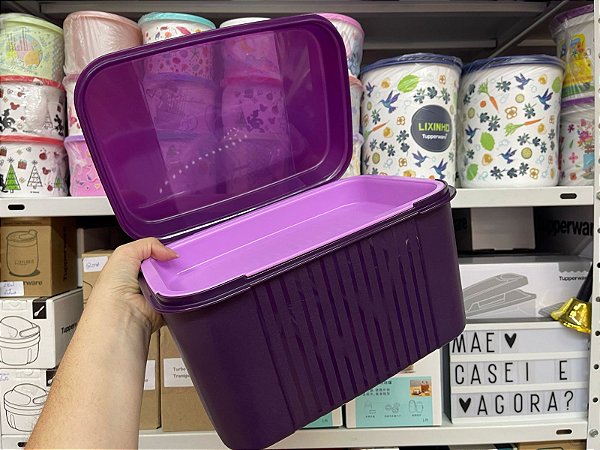 Visual Box Roxa Com Bandeja Rosa 4,5 Litros