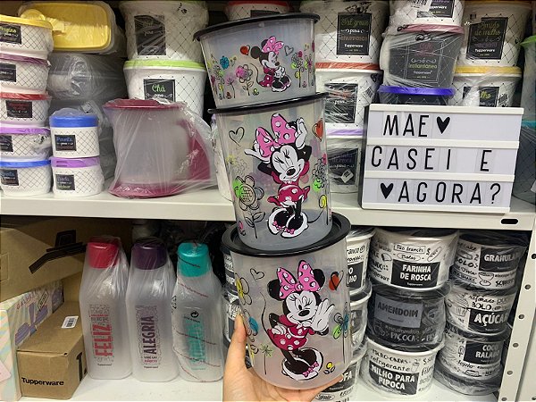 Kit 3 Peças Instantanea Slim Minnie Primavera