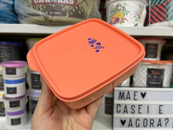 Basic Line com Divisórias Jardim das Mães 550 ml
