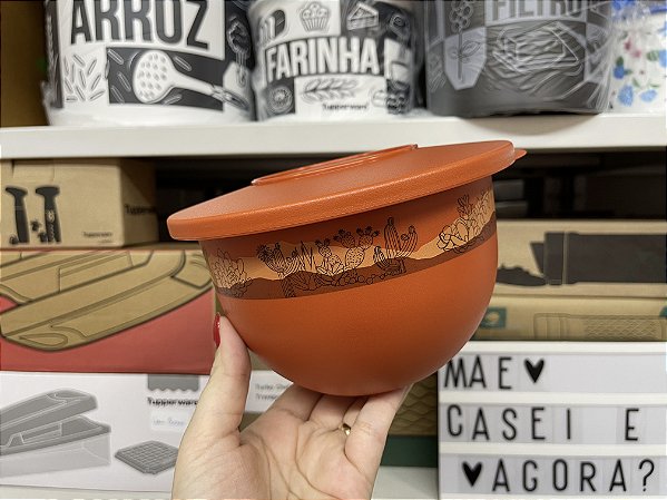 Tigela Murano 1,3 Litros Cactos e Suculentos