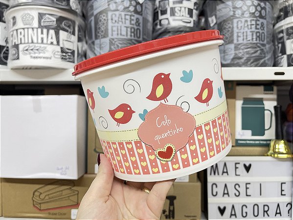 Tupper Caixa 2,4 L Scrapbook - Colo Quentinho