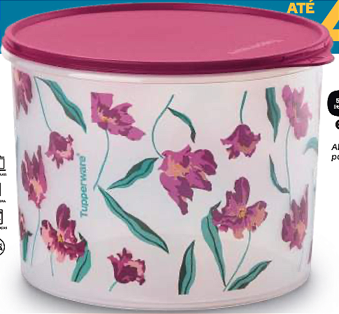 Tupper Caixa Florescer 5,5 Litros
