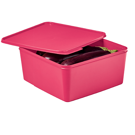 Basic Line 5 Litros Rosa