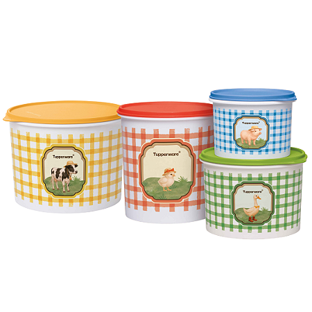 Kit 4 Peças Tupper Caixa Da Roça
