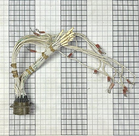 CONECTOR  - MS3112E20-39S     ( SV )
